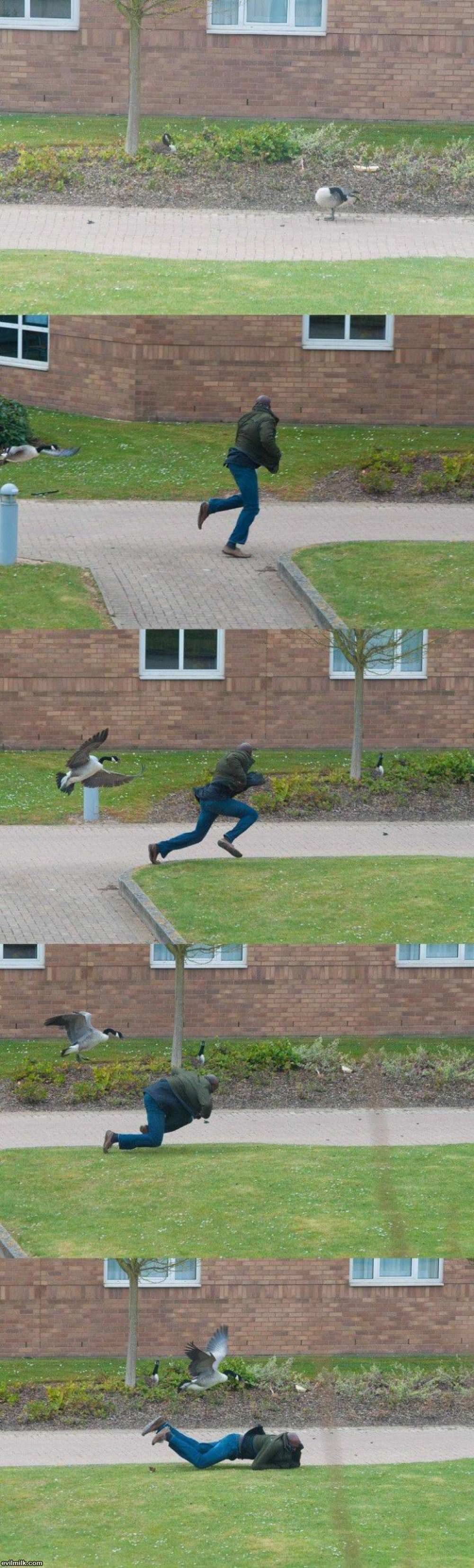 Gotcha