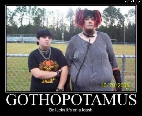 Gothopotamus