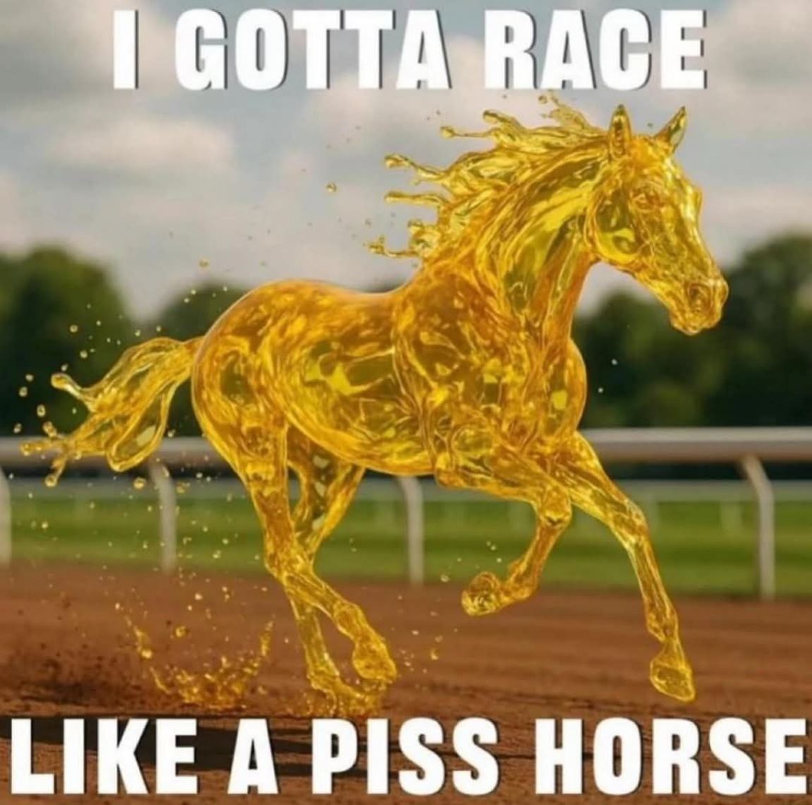 Gotta Race