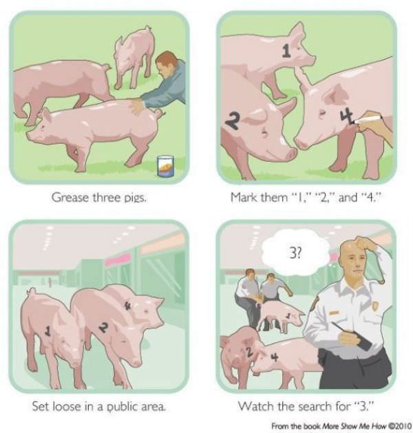 Grease The Pigs