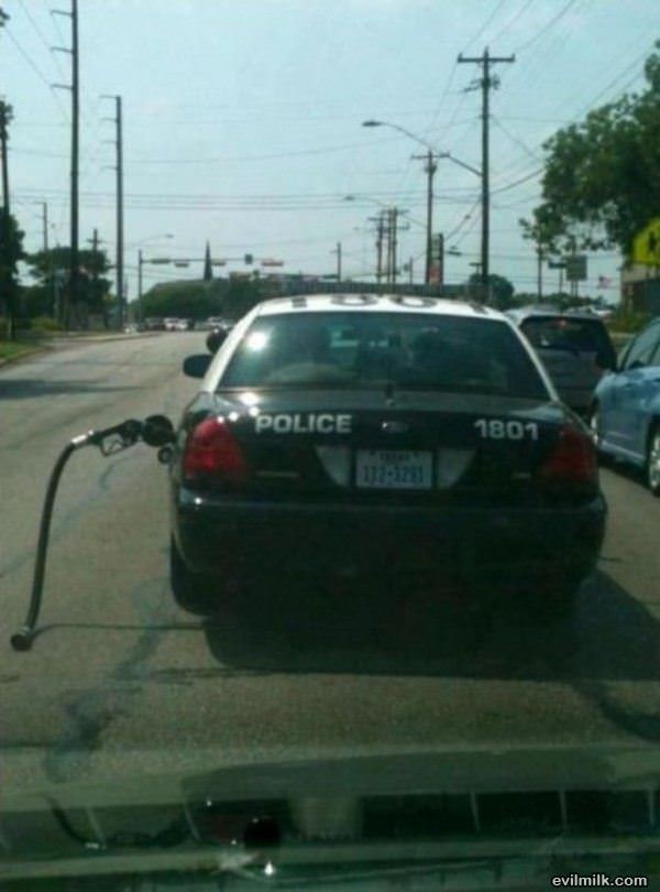 Great Fail