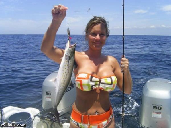 Great Fish