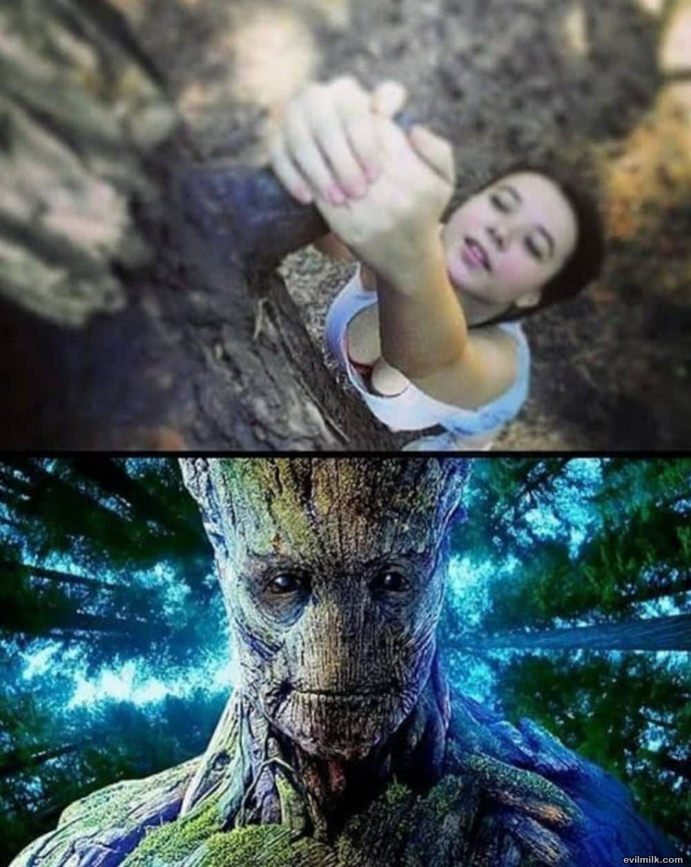 Groot