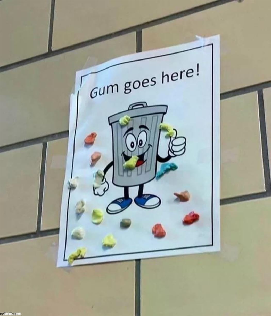 Gum Goes Here