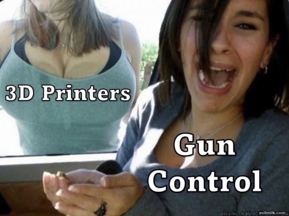 Gun Control