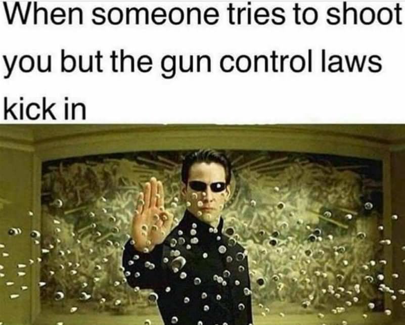 Gun Control Laws