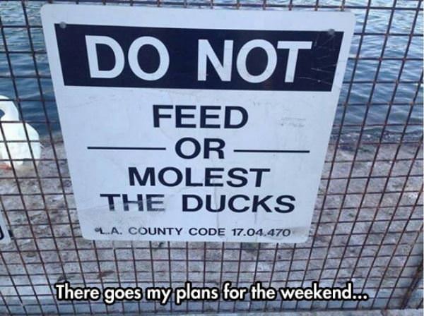 Had A Big Weekend Planned