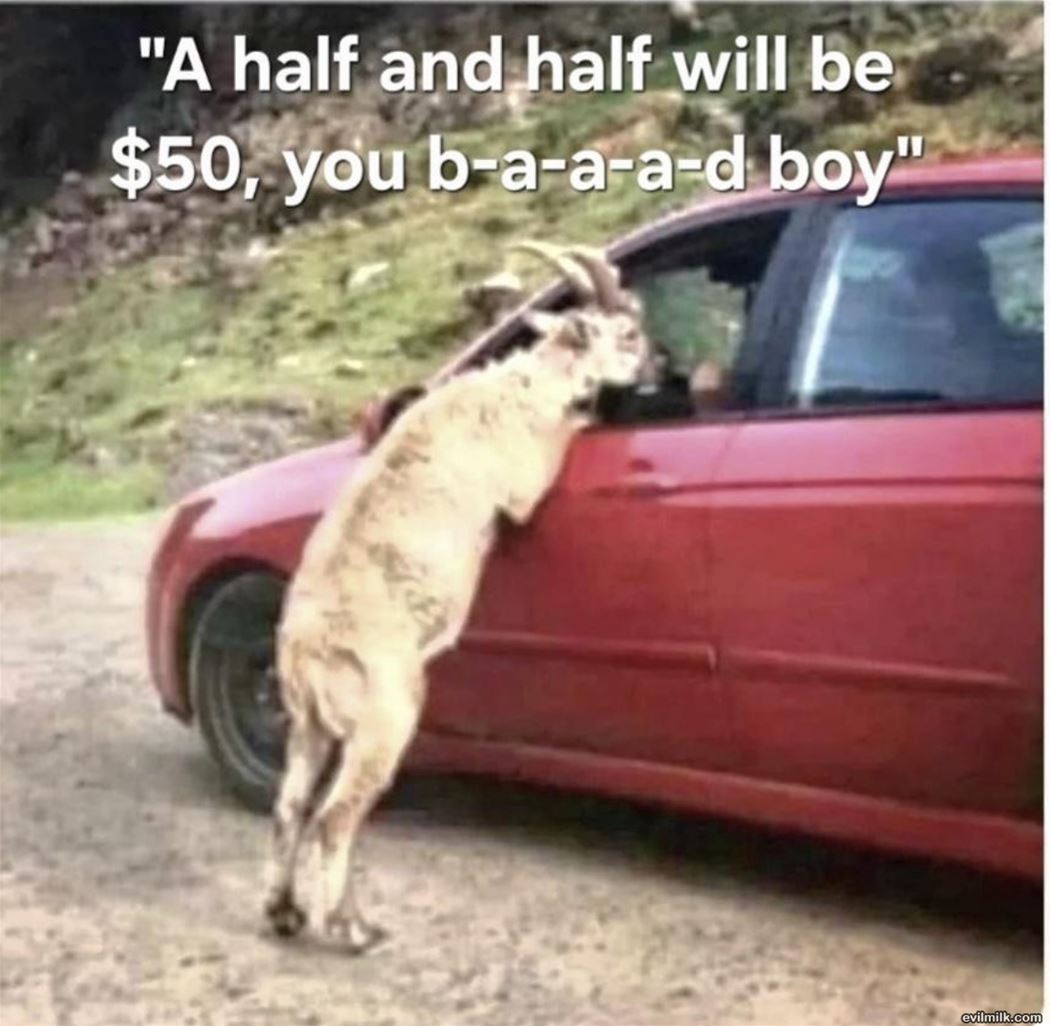Half And Half
