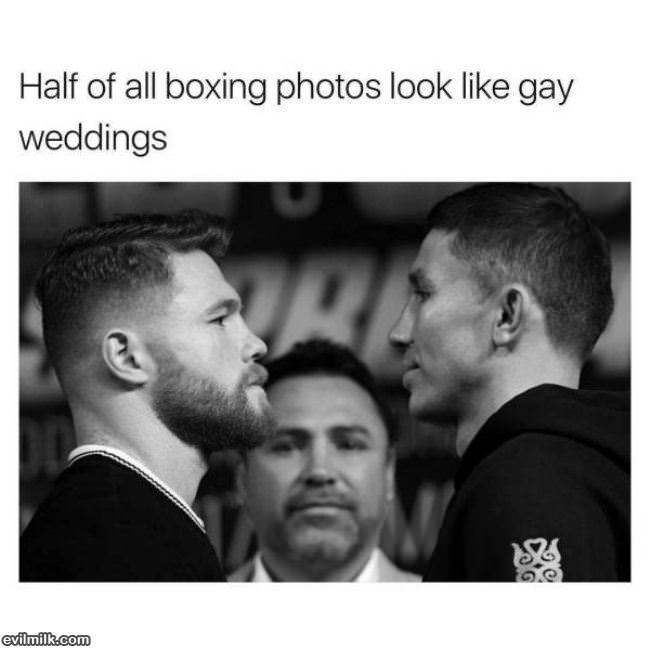 Half Of Boxing Photos
