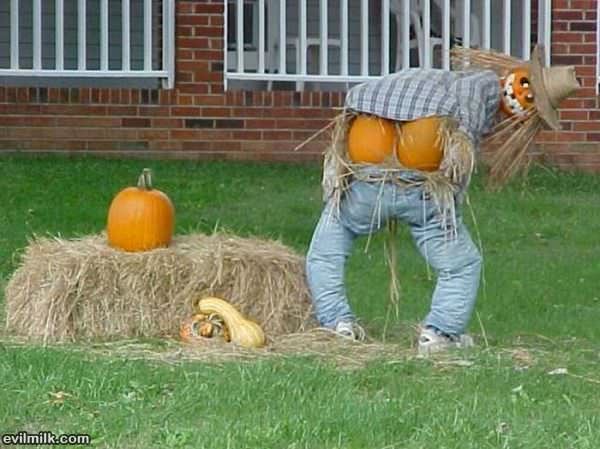 Halloween Scare Crow