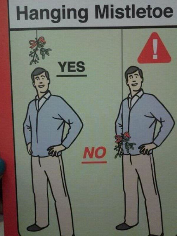 Hanging Mistletoe