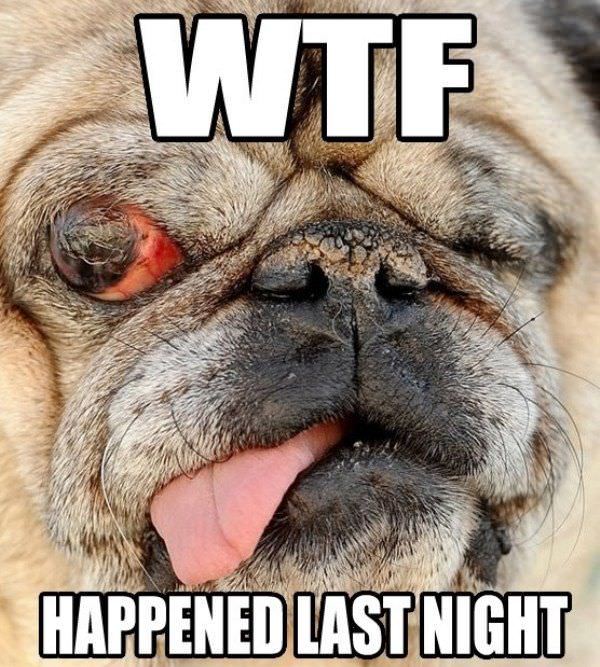 Hangover Pug