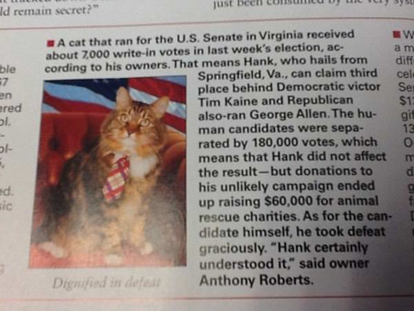 Hank For Senate