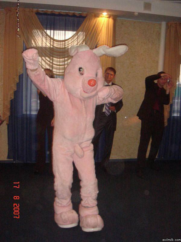 Happpy Bunny