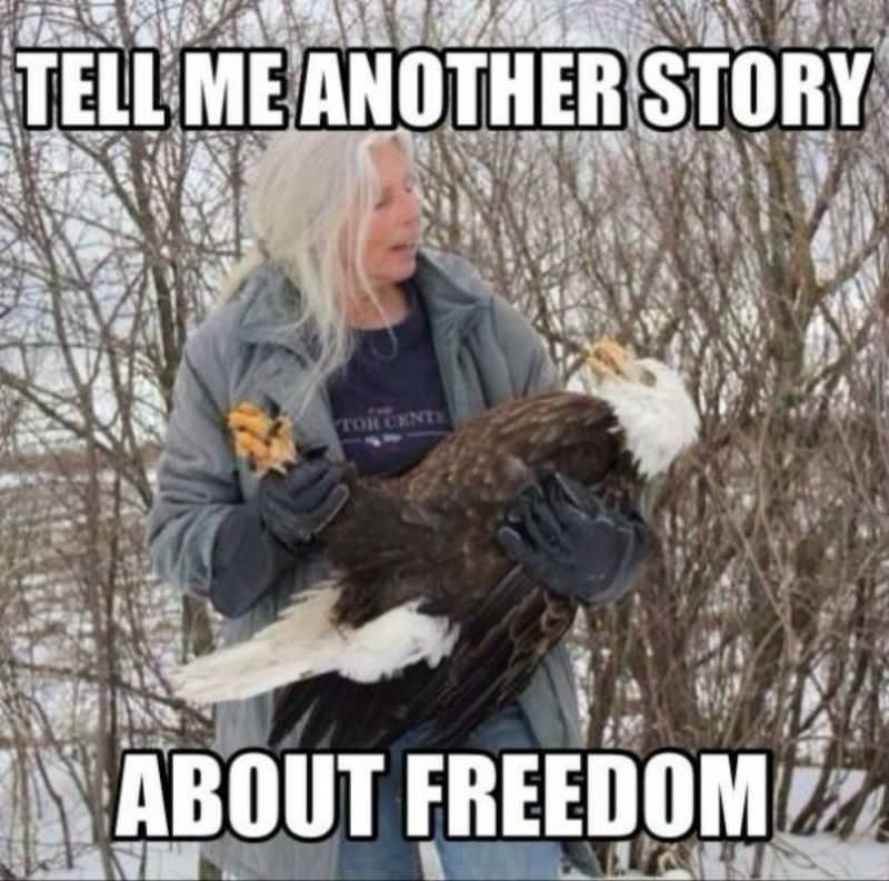 Happy Birthday America 2019