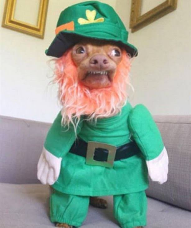 Happy St Patricks Day