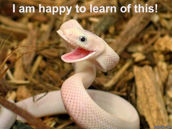 Happy To Learn