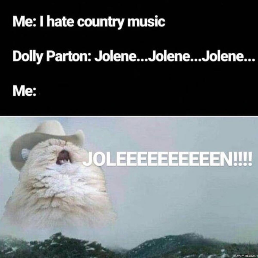 Hate Country Music