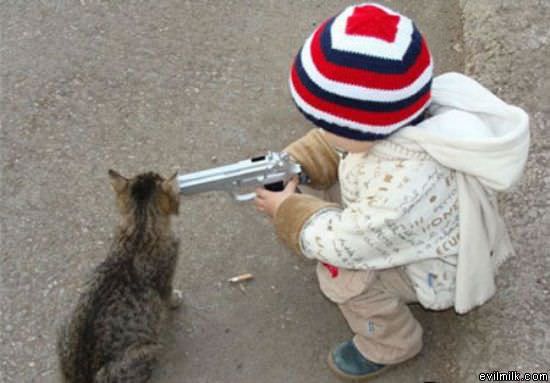 Hates Kittens