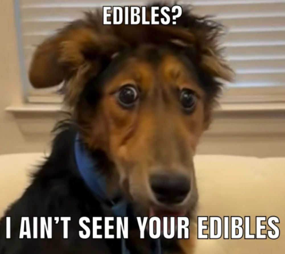 Have Not Seen Them