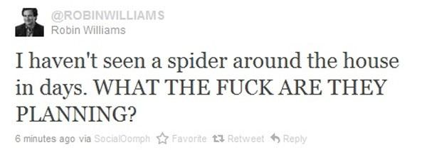 Havent Seen A Spider