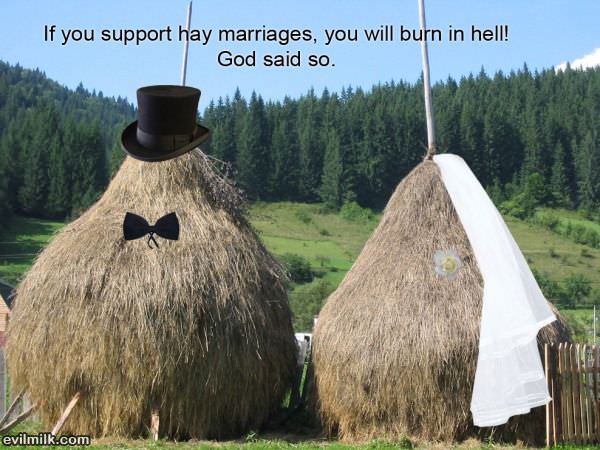 Hay Marriages