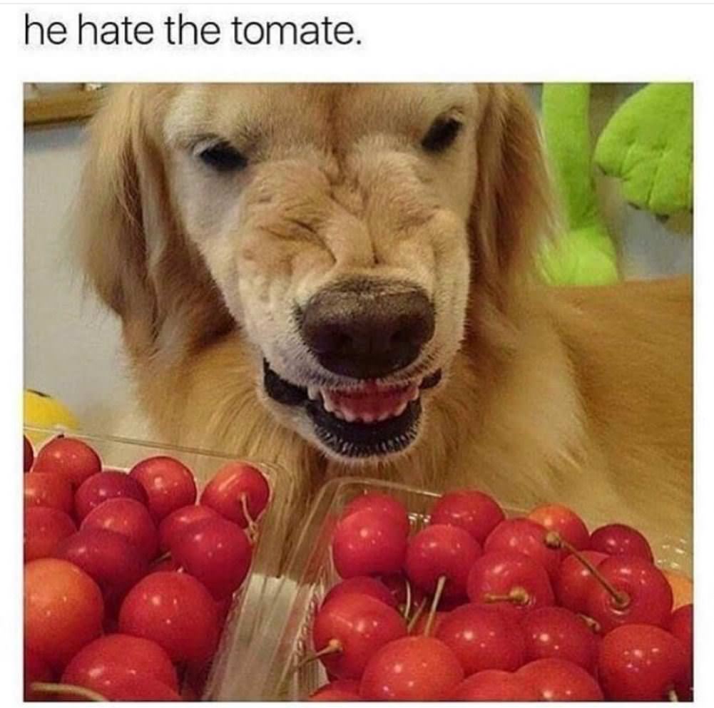 He Hate