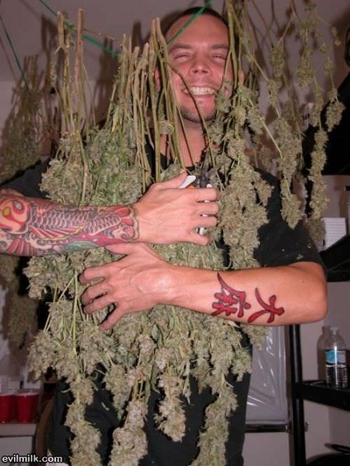 He Is In Love