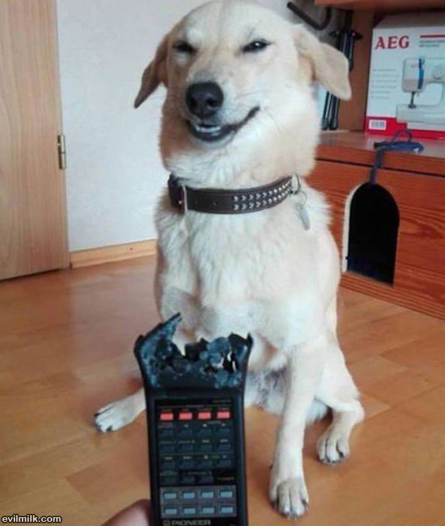 Heh Heh Heh