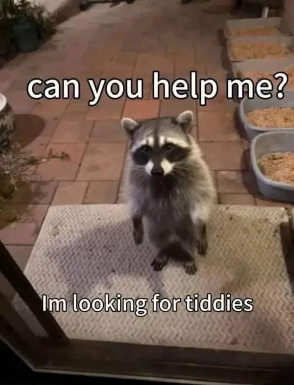 Help A Brother Out