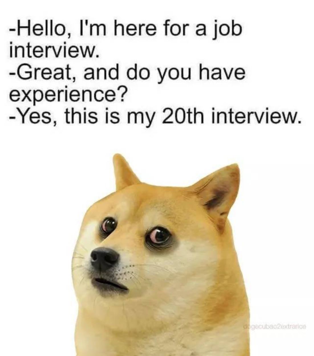 Here_For_The_Interview.jpg