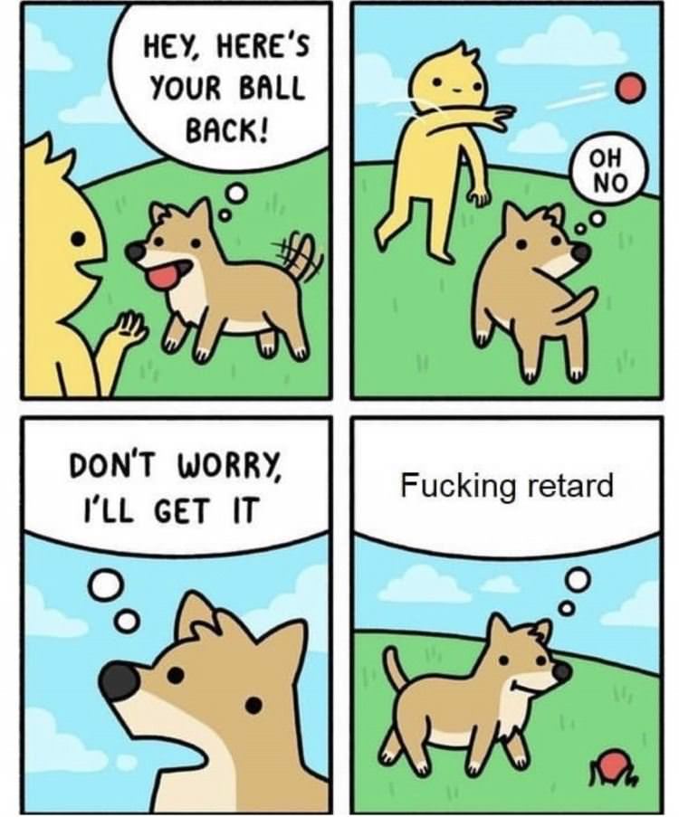 Hey Your Ball