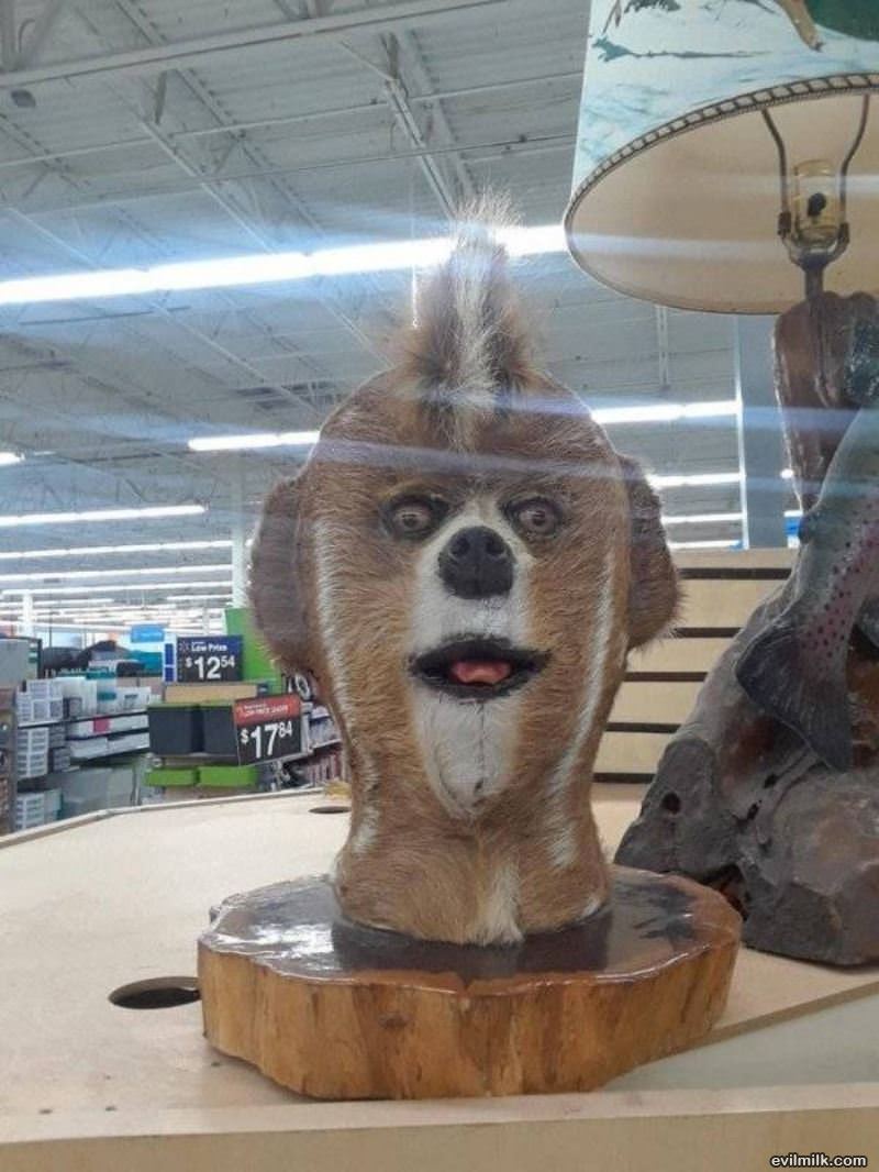 Hi There