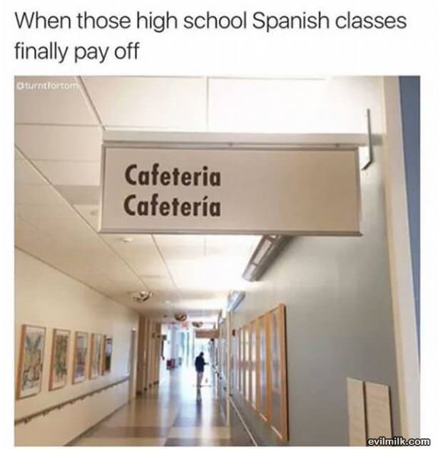 High School Spanish