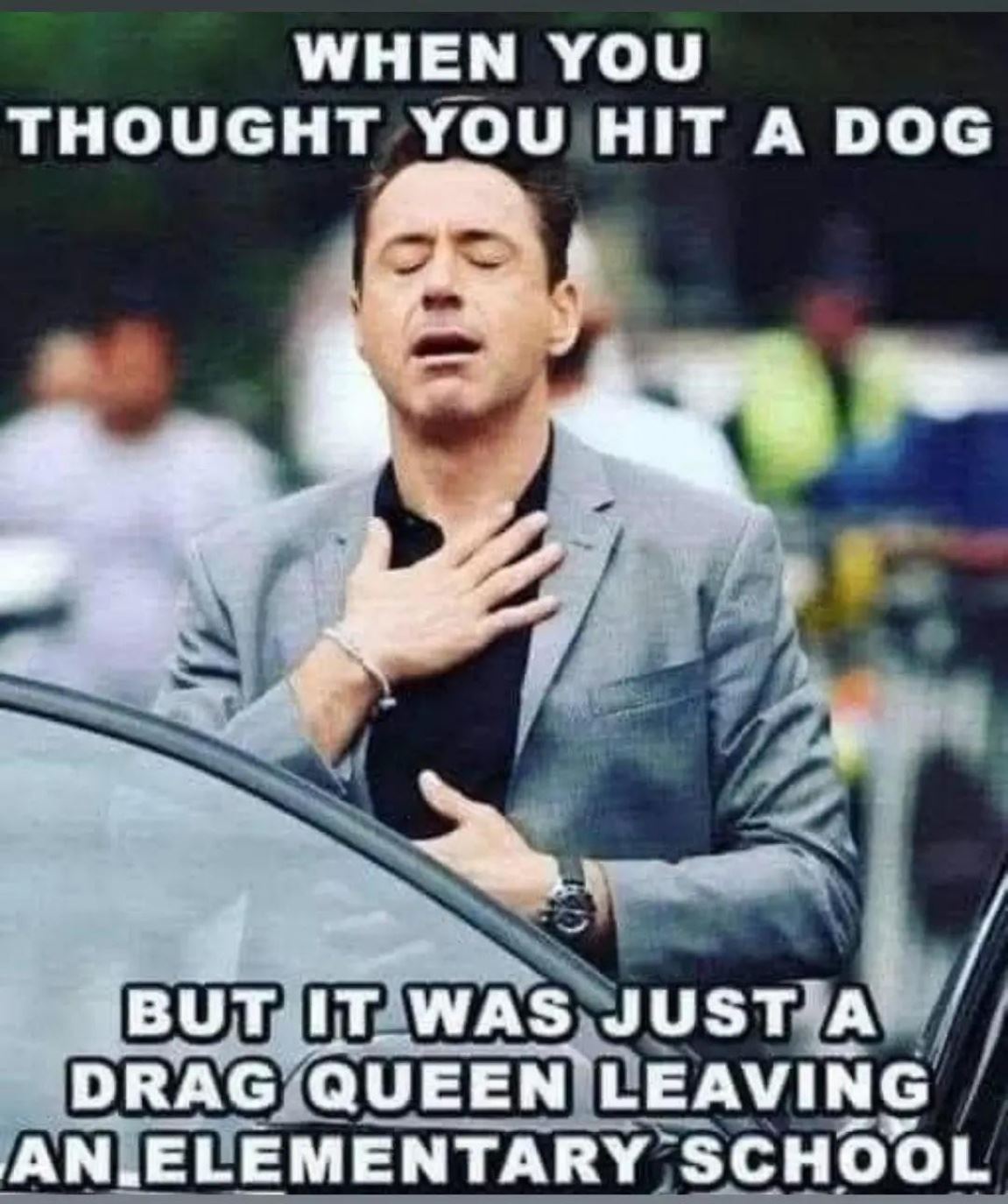Hit A Dog