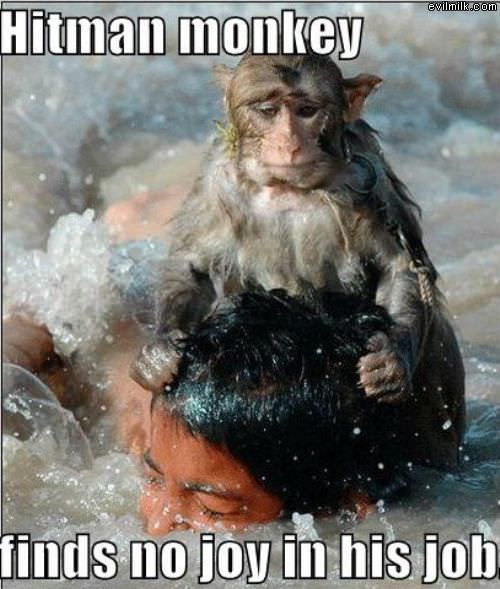 Hitman Monkey