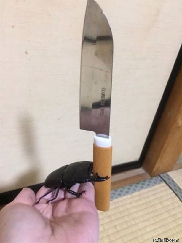 Hold This For A Second