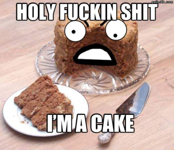 Holy Shit Im A Cake