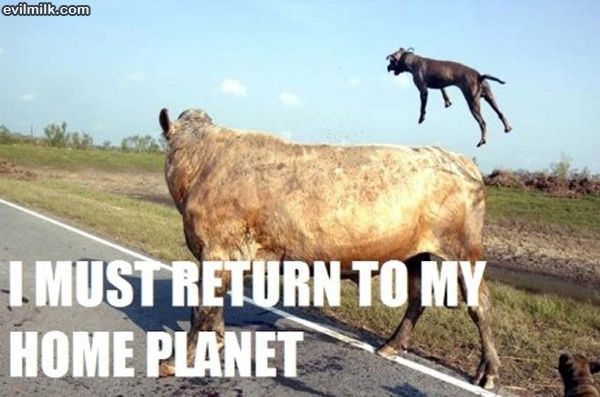 Home Planet
