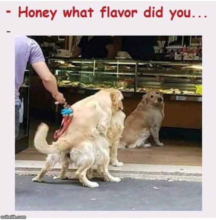 Honey What Flavor