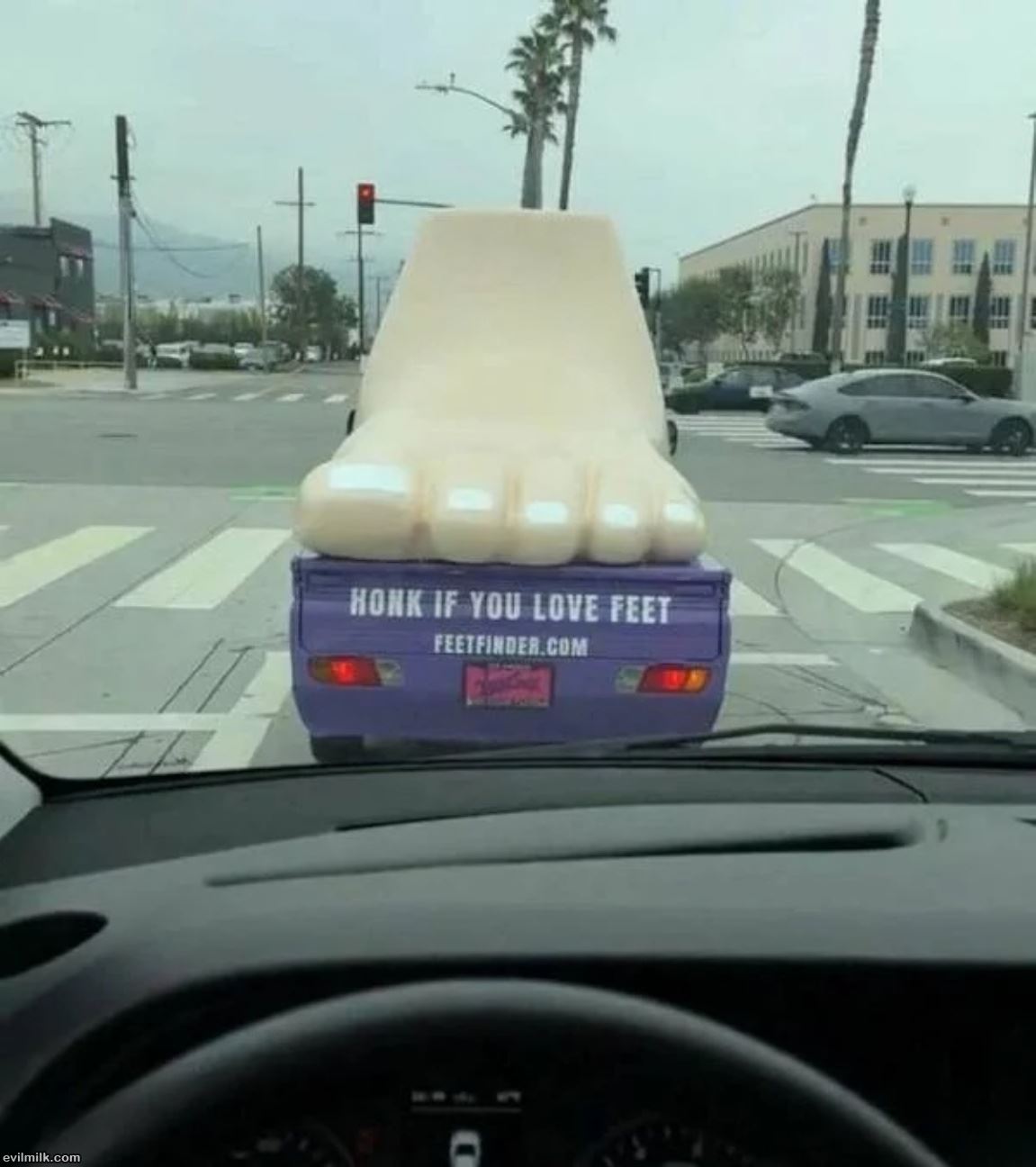 Honk