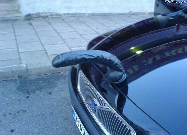Hood Ornament