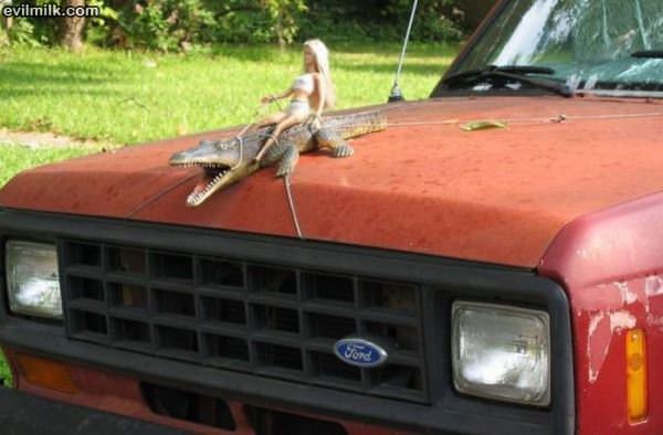 Hood Ornament