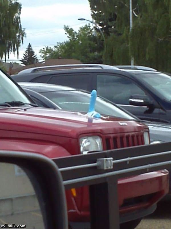 Hood Ornament