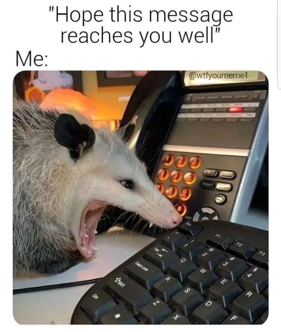 Hope This Reaches You