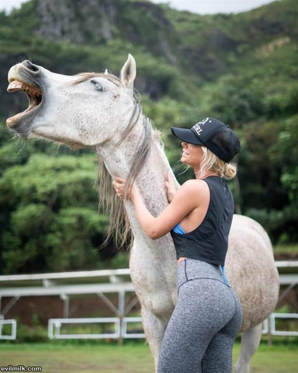 Horsing Around
