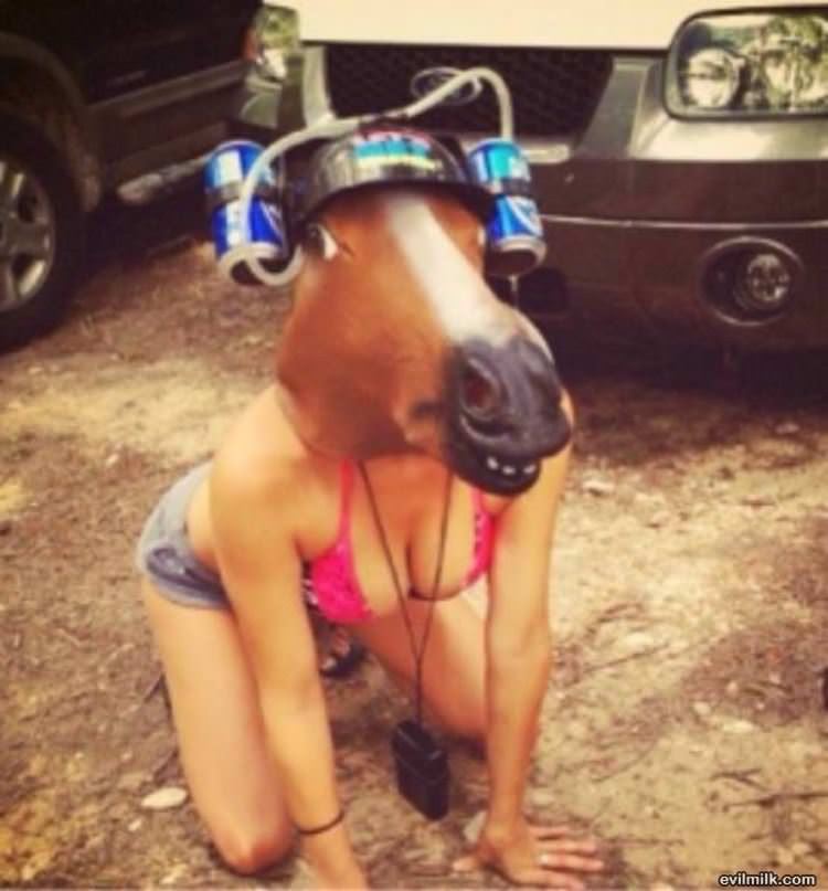 Horsing Around