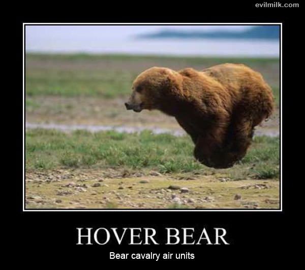 Hover Bear