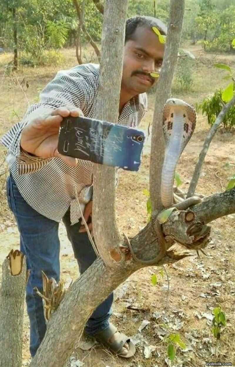 How About A Selfie