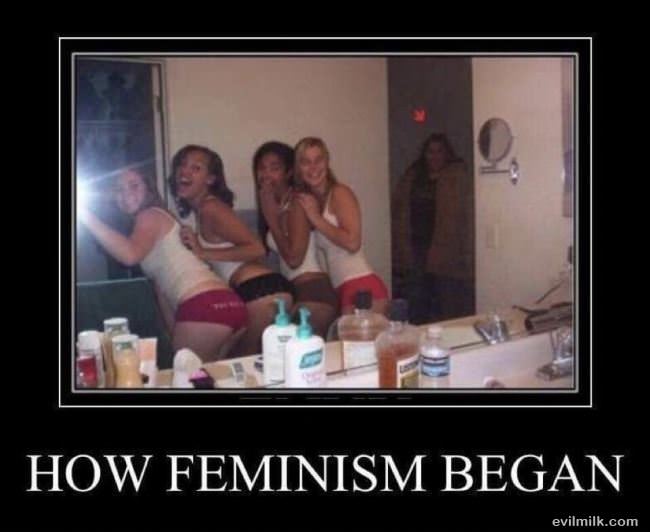 How Feminism Began